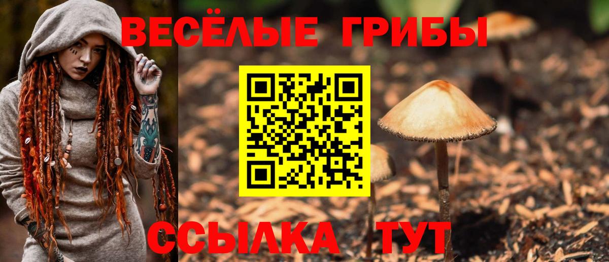 Псилоцибиновые грибы ЛСД Сарапул