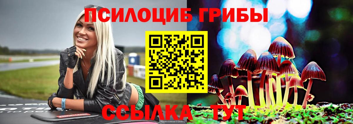 Галлюциногенные грибы MAGIC MUSHROOMS  Галлюциногенные грибы GOLDEN TEACHER  Сарапул  Вход с VPN 